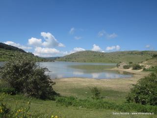 Lago Trearie